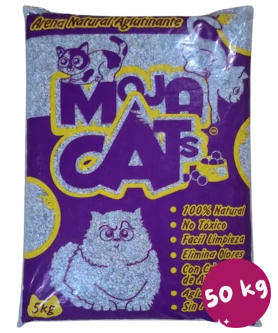 31 Arena Sanitaria Moja Cats